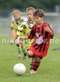 DSC_9147 Kopie
