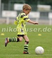 DSC_9151 Kopie