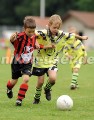 DSC_9152 Kopie