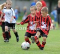 DSC_9184 Kopie