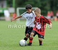 DSC_9186 Kopie