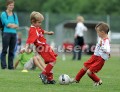 DSC_9213 Kopie