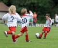 DSC_9237 Kopie