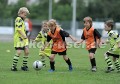 DSC_9260 Kopie