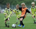 DSC_9261 Kopie