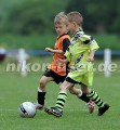 DSC_9264 Kopie