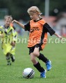 DSC_9269 Kopie