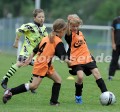 DSC_9273 Kopie