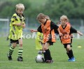 DSC_9275 Kopie