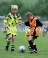 DSC_9276 Kopie