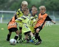 DSC_9278 Kopie