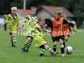 DSC_9287 Kopie
