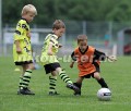 DSC_9291 Kopie