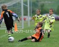 DSC_9300 Kopie