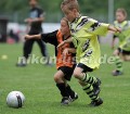 DSC_9308 Kopie